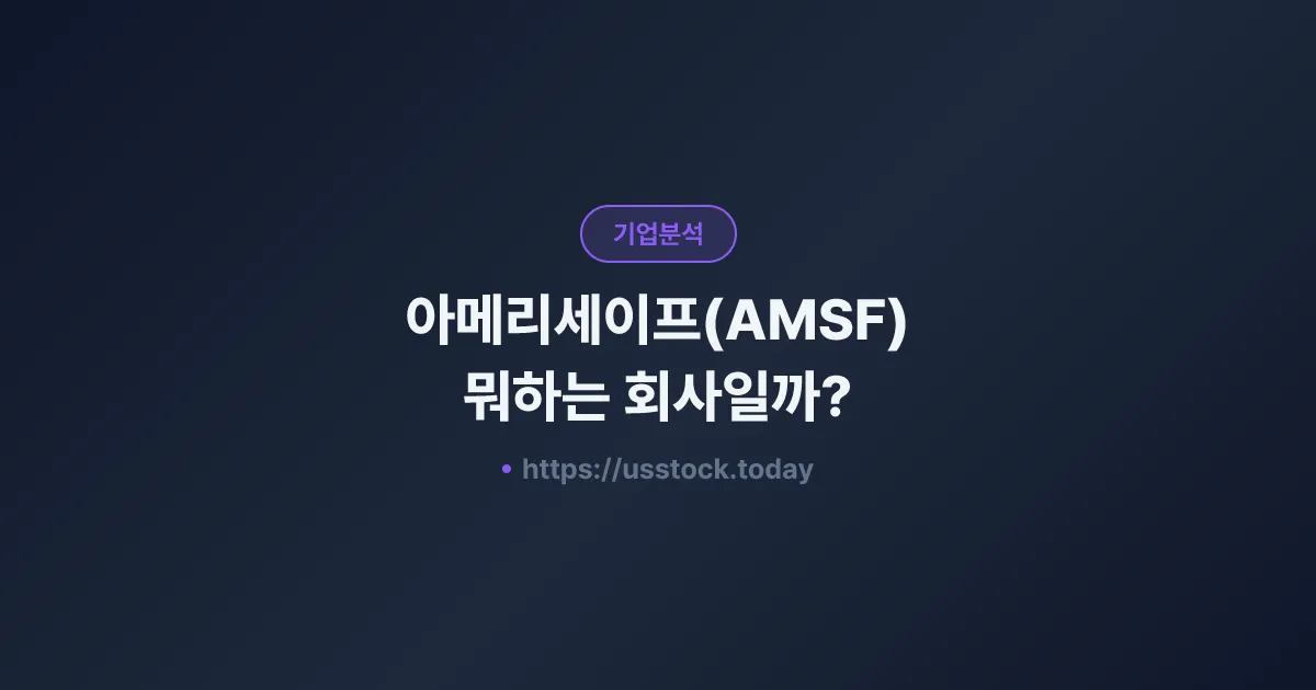 아메리세이프(AMSF) 뭐하는 회사일까? - 주가 전망·실적·시총·관련주·본사 총정리