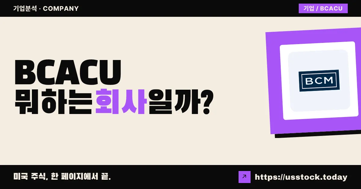 브룩라인 캐피탈 인수 2호(BCACU) 뭐하는 회사일까? - SPAC 합병 전망·시총·관련주 총정리