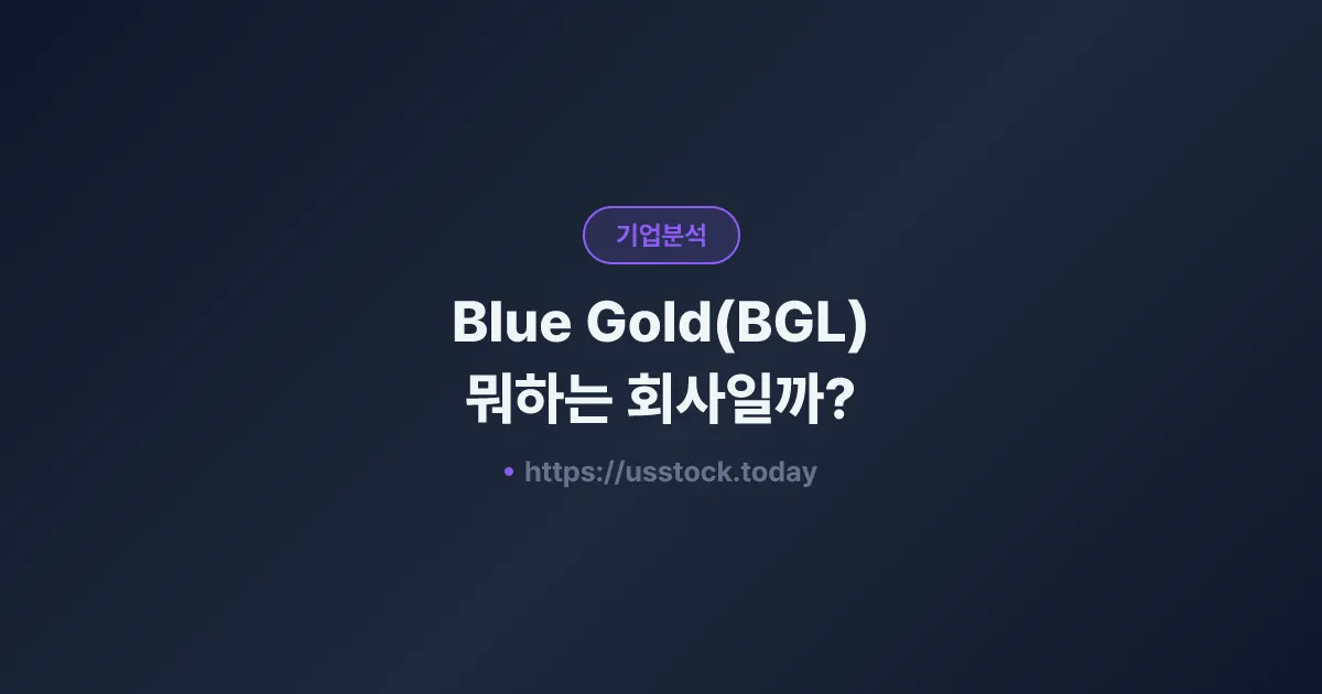 Blue Gold(BGL) 뭐하는 회사일까? - 주가 전망·실적·시총·관련주·본사 총정리