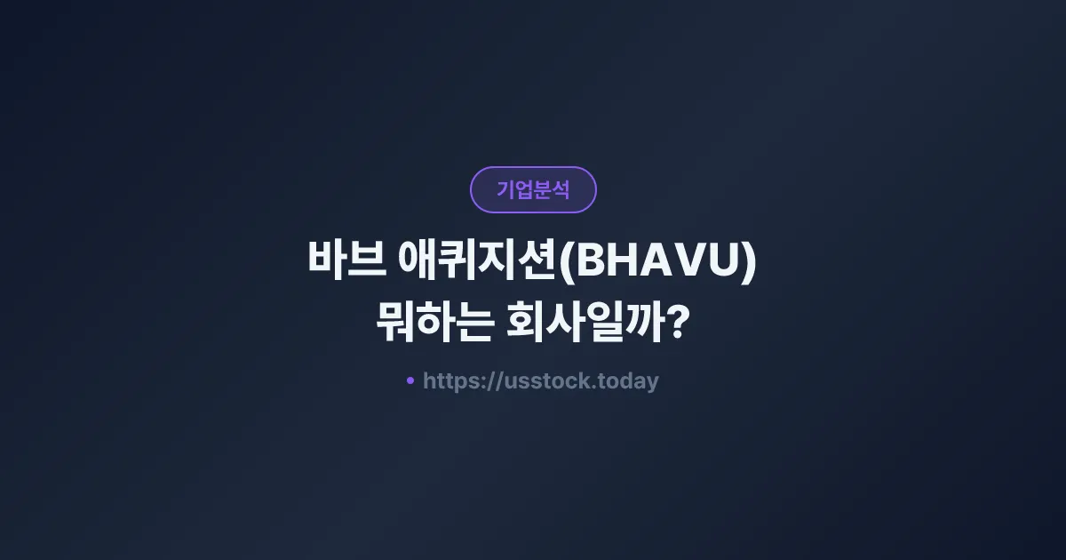 바브 애퀴지션(BHAVU) 뭐하는 회사일까? - SPAC 합병 전망·시총·관련주 총정리