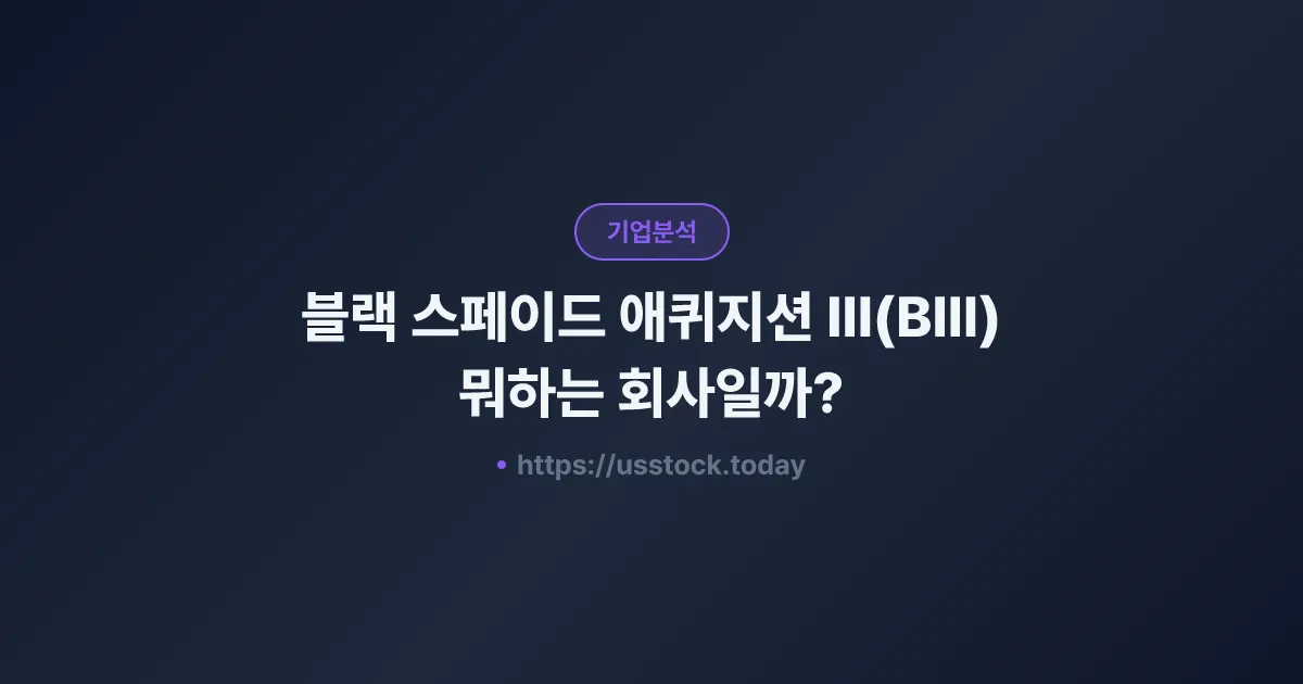 블랙 스페이드 애퀴지션 III(BIII) 뭐하는 회사일까? - SPAC 합병 전망·시총·관련주 총정리