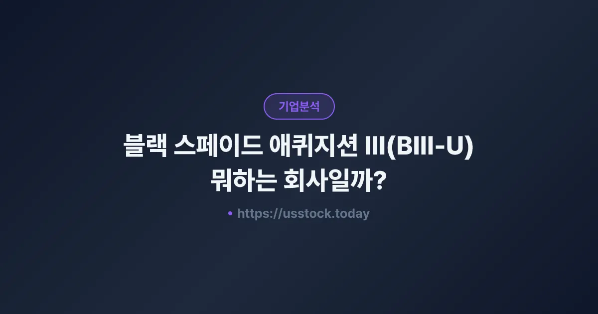 블랙 스페이드 애퀴지션 III(BIII-U) 뭐하는 회사일까? - SPAC 합병 전망·시총·관련주 총정리