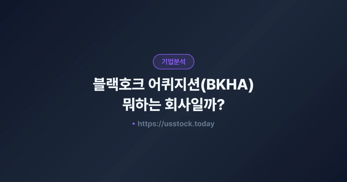 블랙호크 어퀴지션(BKHA) 뭐하는 회사일까? - SPAC 합병 전망·시총·관련주 총정리