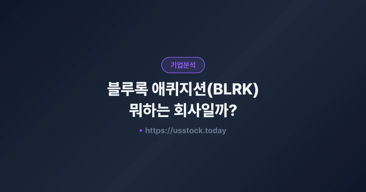 블루록 애퀴지션(BLRK) 뭐하는 회사일까? - SPAC 합병 전망·시총·관련주 총정리