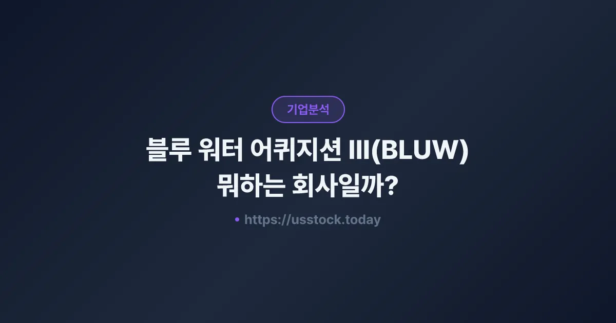 블루 워터 어퀴지션 III(BLUW) 뭐하는 회사일까? - SPAC 합병 전망·시총·관련주 총정리