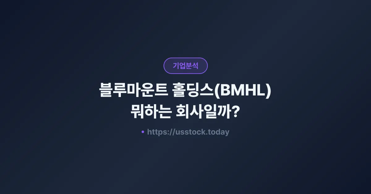 블루마운트 홀딩스(BMHL) 뭐하는 회사일까? - 주가 전망·실적·시총·관련주·본사 총정리