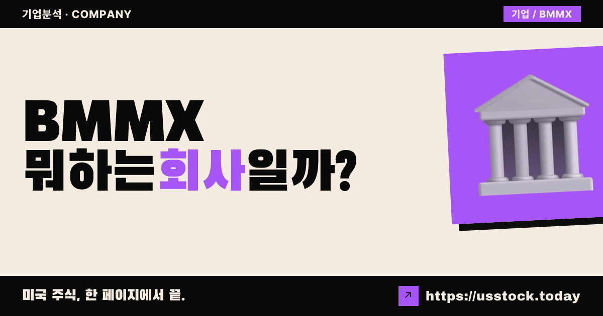 블랙 매머드 메탈스(BMMX) 뭐하는 회사일까? - 주가 전망·실적·시총·관련주·본사 총정리