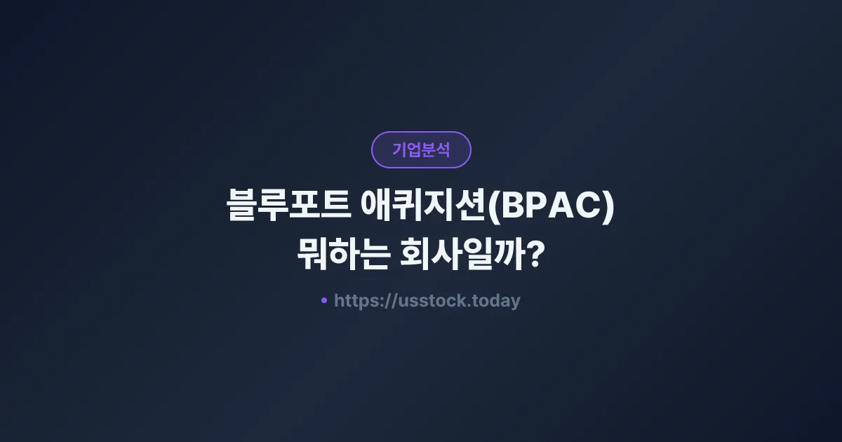 블루포트 애퀴지션(BPAC) 뭐하는 회사일까? - SPAC 합병 전망·시총·관련주 총정리