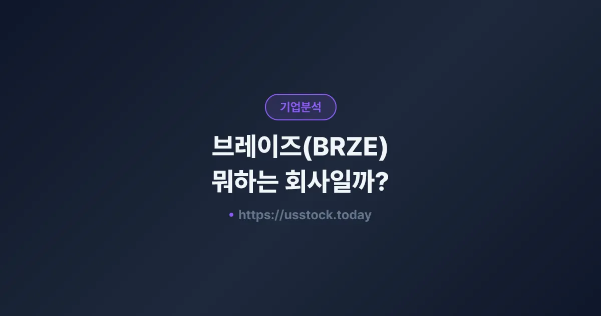 브레이즈(BRZE) 뭐하는 회사일까? - 주가 전망·실적·시총·관련주·본사 총정리