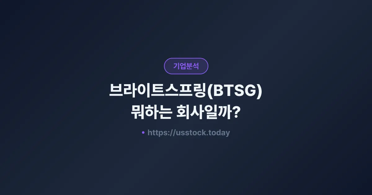 브라이트스프링(BTSG) 뭐하는 회사일까? - 주가 전망·실적·시총·관련주·본사 총정리