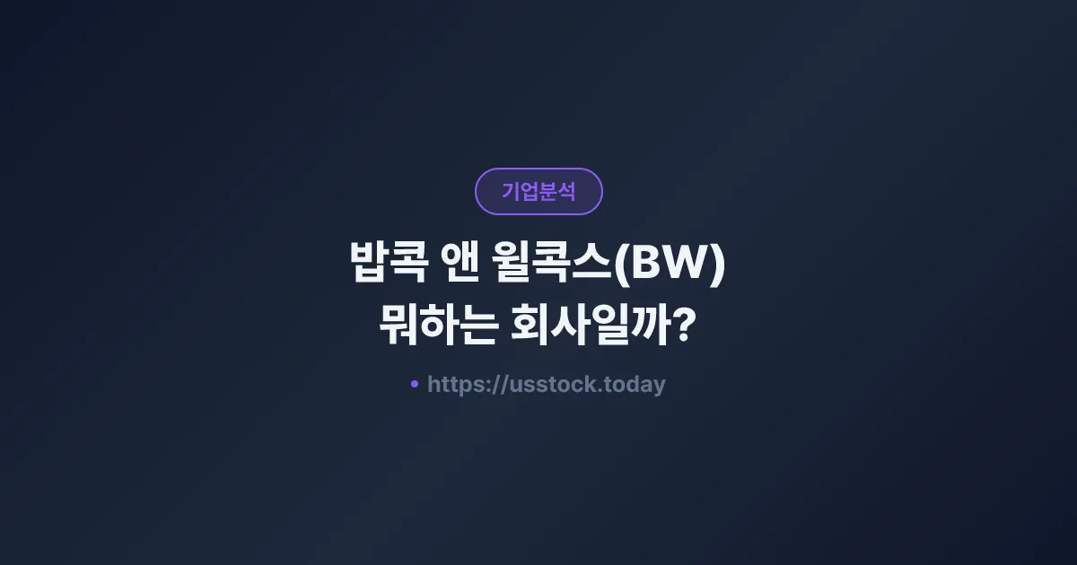 밥콕 앤 윌콕스(BW) 뭐하는 회사일까? - 주가 전망·실적·시총·관련주·본사 총정리