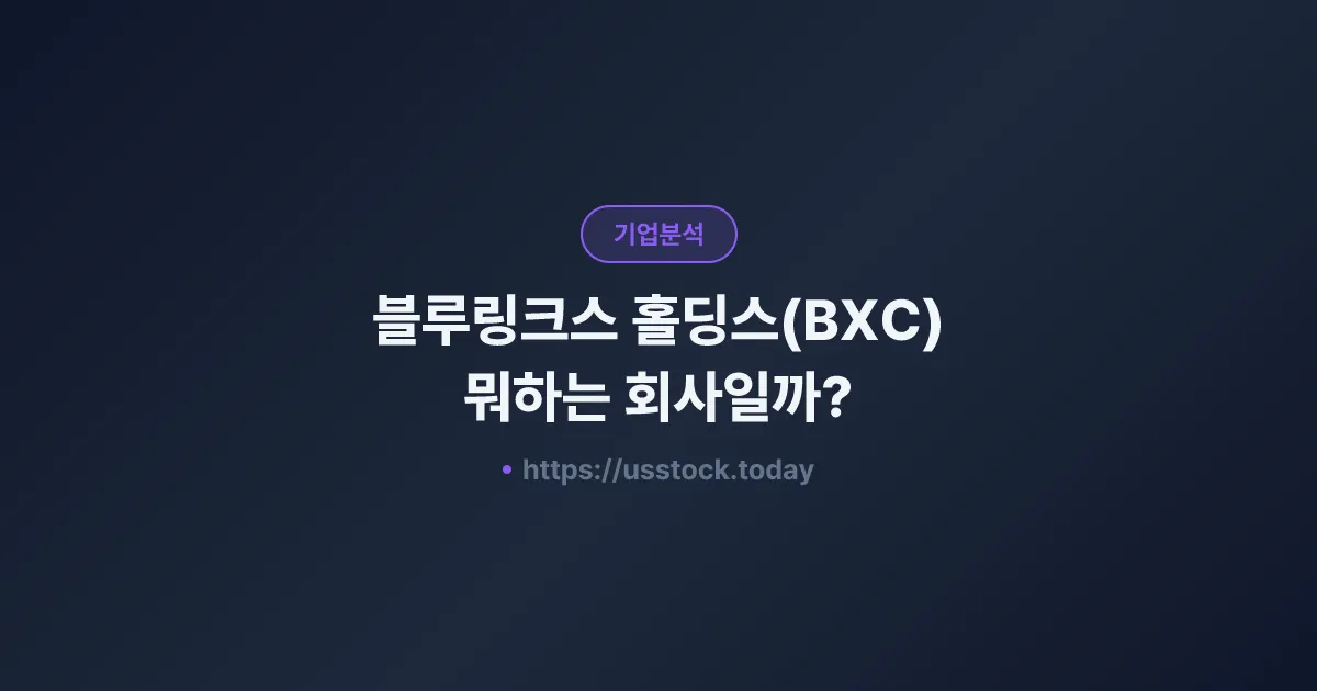 블루링크스 홀딩스(BXC) 뭐하는 회사일까? - 주가 전망·실적·시총·관련주·본사 총정리