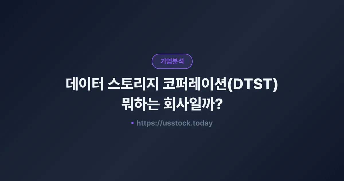 데이터 스토리지 코퍼레이션(DTST) 뭐하는 회사일까? - 주가 전망·실적·시총·관련주·본사 총정리