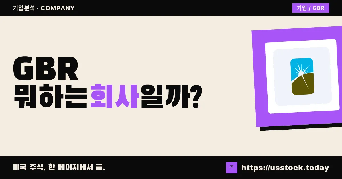 뉴 콘셉트 에너지(GBR) 뭐하는 회사일까? - 주가 전망·실적·시총·관련주·본사 총정리
