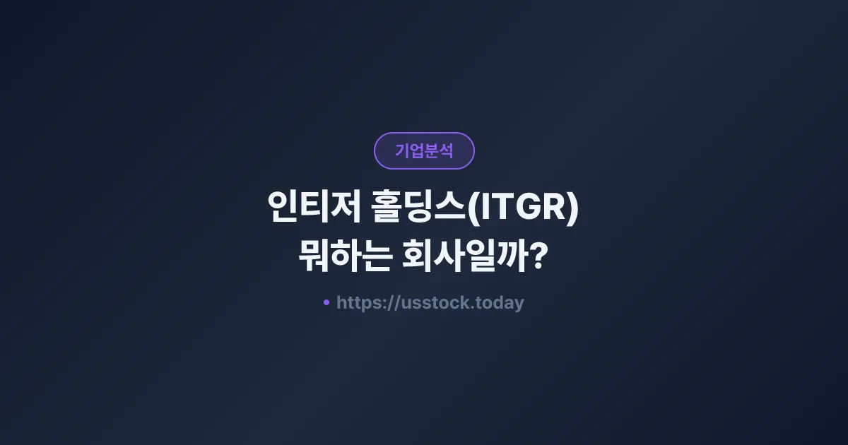 인티저 홀딩스(ITGR) 뭐하는 회사일까? - 주가 전망·실적·시총·관련주·본사 총정리
