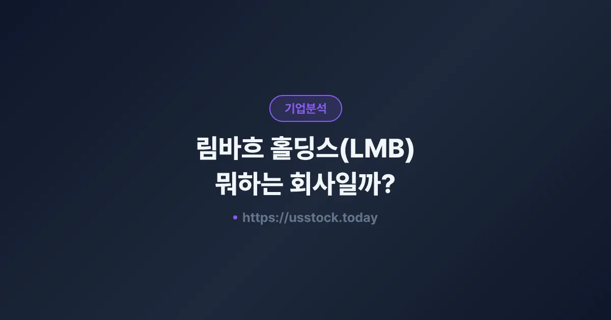 림바흐 홀딩스(LMB) 뭐하는 회사일까? - 주가 전망·실적·시총·관련주·본사 총정리