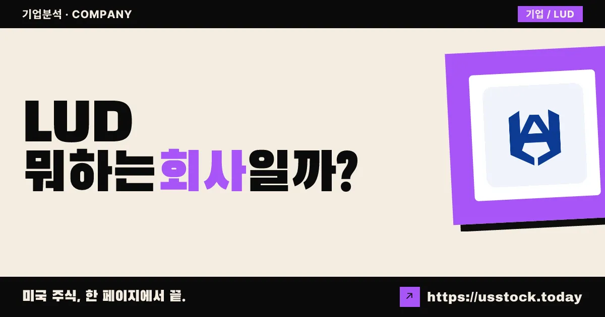 루다 테크놀로지 그룹(LUD) 뭐하는 회사일까? - 주가 전망·실적·시총·관련주·본사 총정리