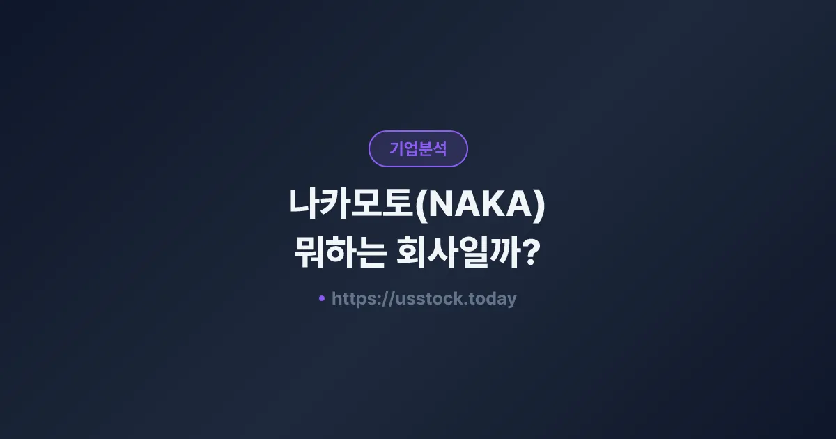 나카모토(NAKA) 뭐하는 회사일까? - 주가 전망·실적·시총·관련주·본사 총정리