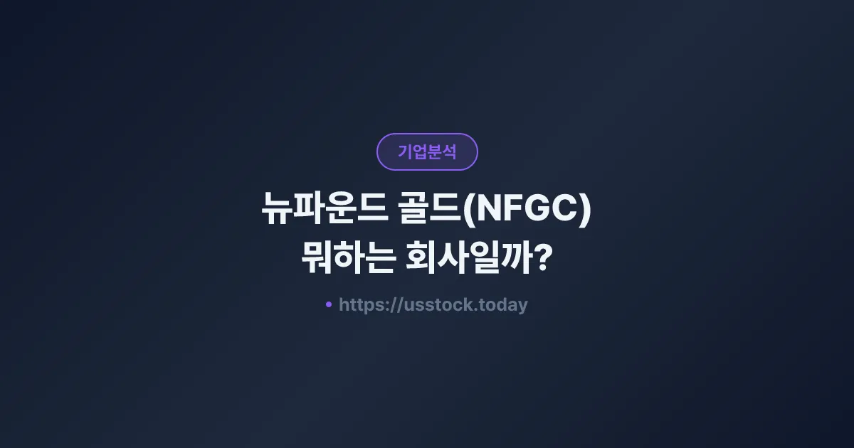 뉴파운드 골드(NFGC) 뭐하는 회사일까? - 주가 전망·실적·시총·관련주·본사 총정리
