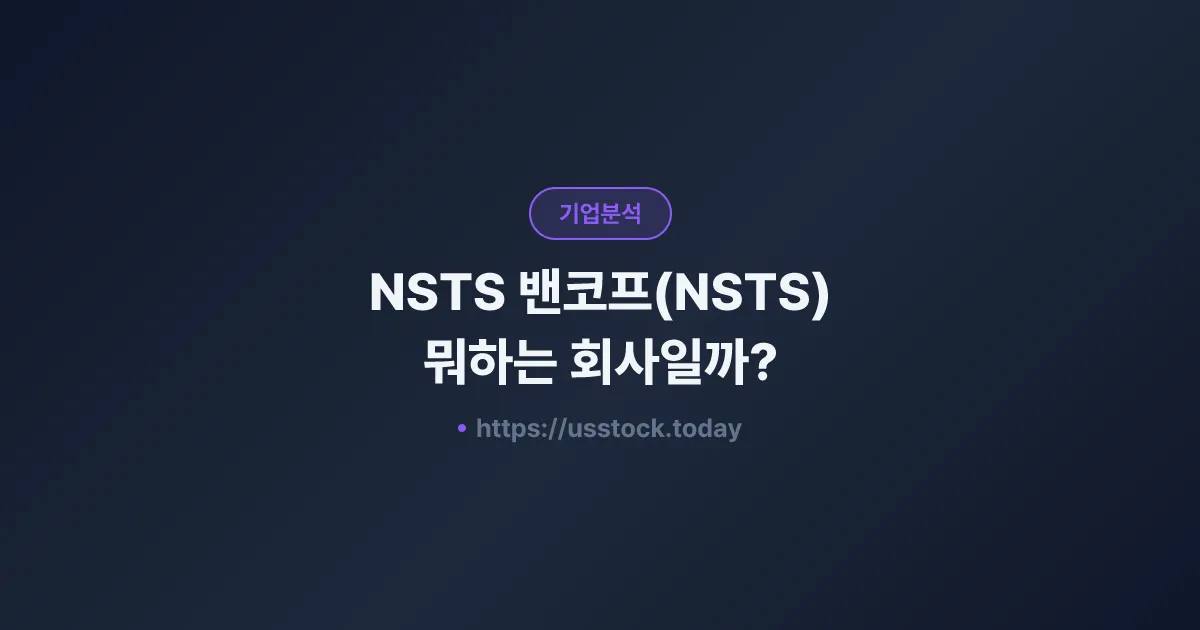 NSTS 밴코프(NSTS) 뭐하는 회사일까? - 주가 전망·실적·시총·관련주·본사 총정리
