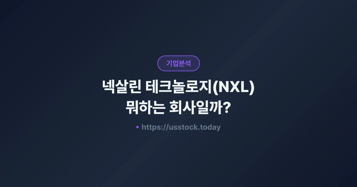 넥살린 테크놀로지(NXL) 뭐하는 회사일까? - 주가 전망·실적·시총·관련주·본사 총정리