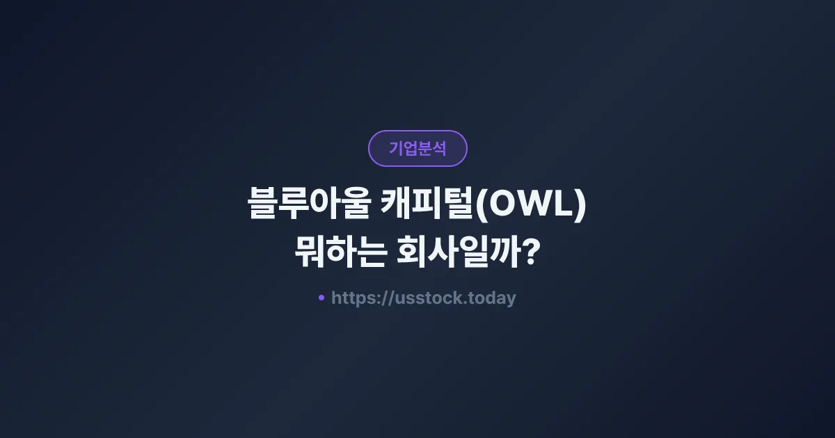 블루아울 캐피털(OWL) 뭐하는 회사일까? - 주가 전망·실적·시총·관련주·본사 총정리
