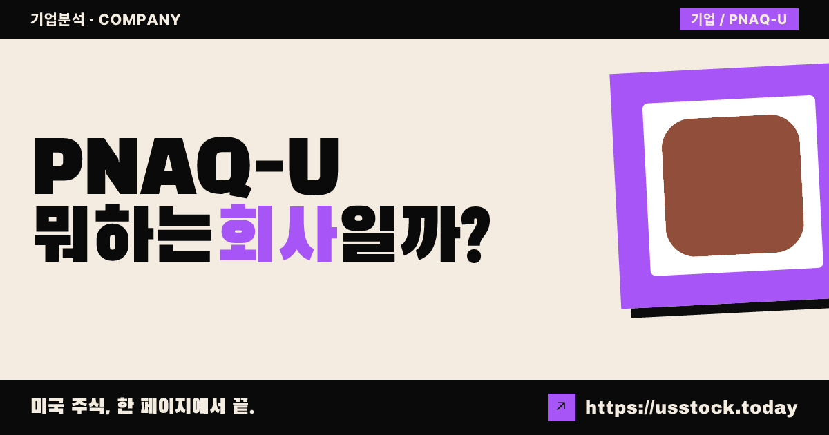 피너클 애퀴지션(PNAQ-U) 뭐하는 회사일까? - SPAC 합병 전망·시총·관련주 총정리