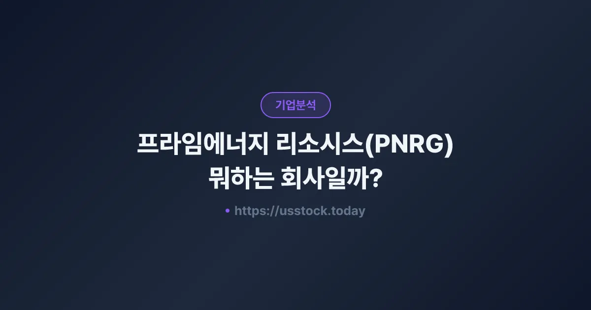 프라임에너지 리소시스(PNRG) 뭐하는 회사일까? - 주가 전망·실적·시총·관련주·본사 총정리
