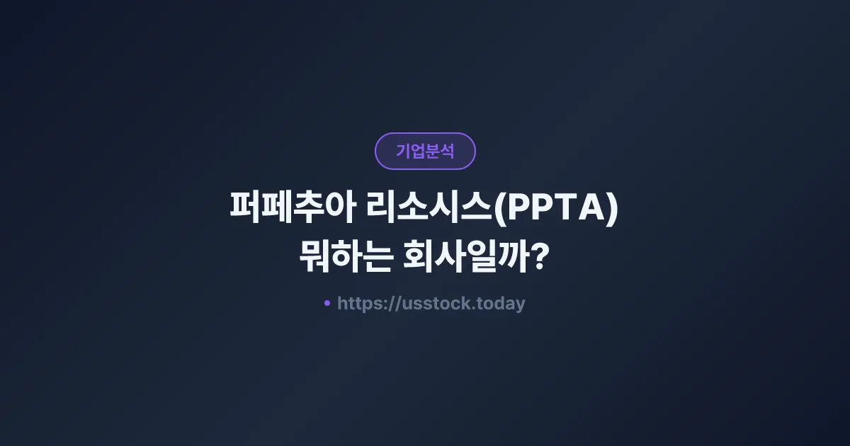 퍼페추아 리소시스(PPTA) 뭐하는 회사일까? - 주가 전망·실적·시총·관련주·본사 총정리