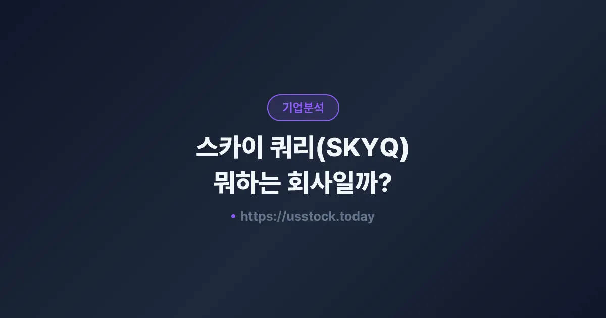 스카이 쿼리(SKYQ) 뭐하는 회사일까? - 주가 전망·실적·시총·관련주·본사 총정리