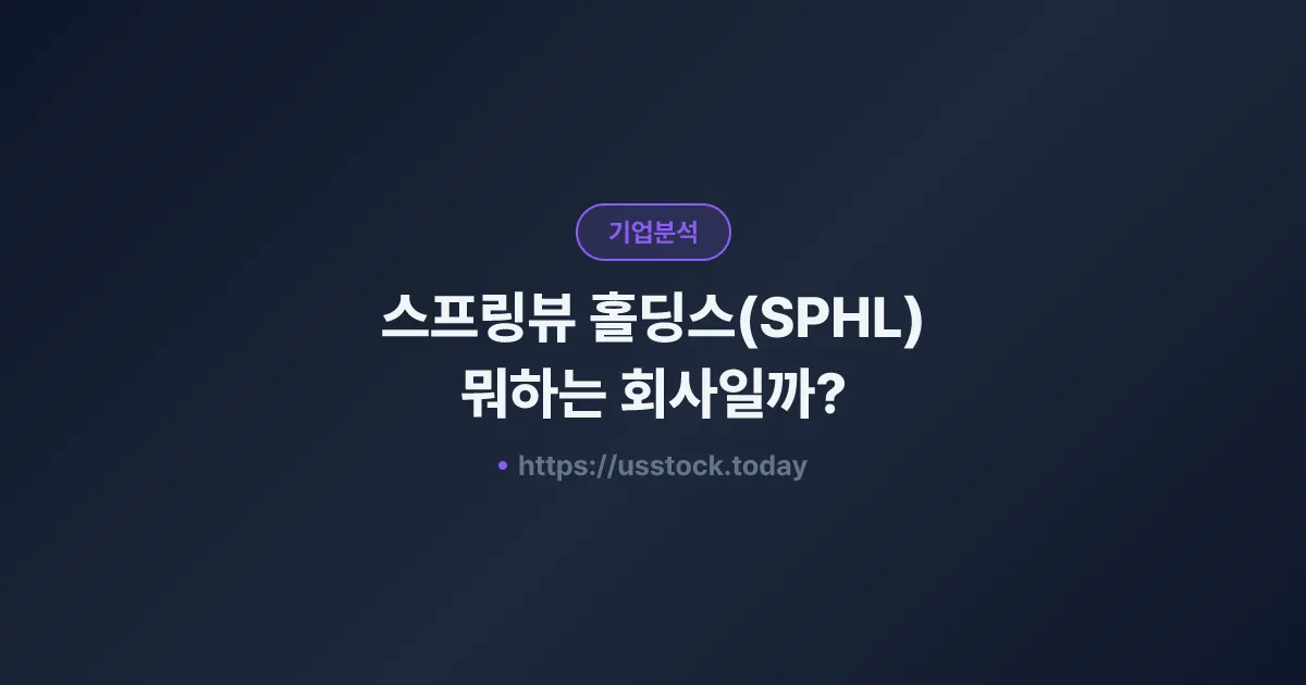 스프링뷰 홀딩스(SPHL) 뭐하는 회사일까? - 주가 전망·실적·시총·관련주·본사 총정리