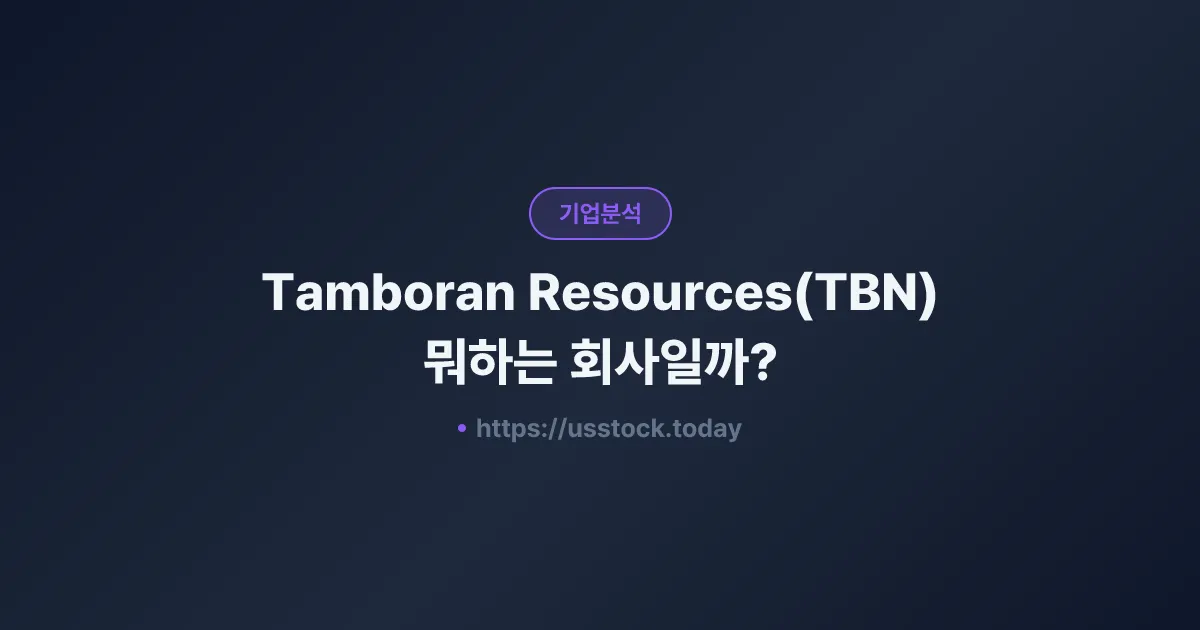 Tamboran Resources(TBN) 뭐하는 회사일까? - 주가 전망·실적·시총·관련주·본사 총정리