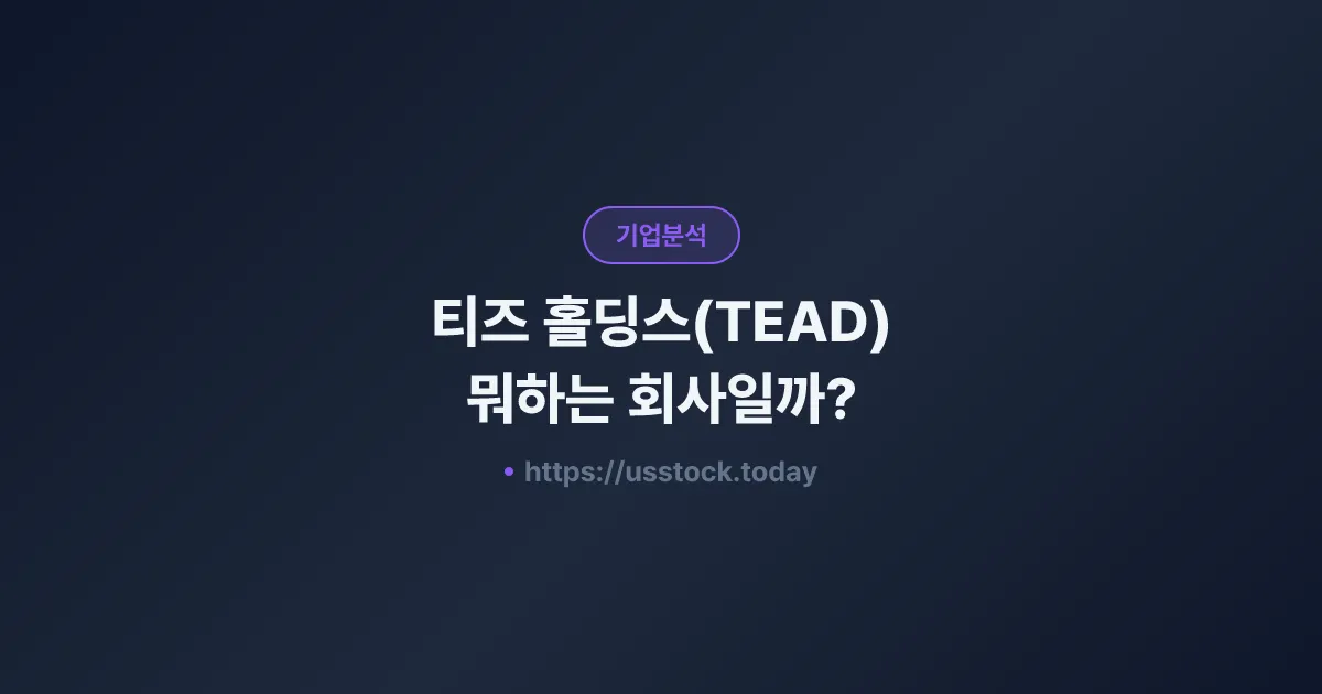 티즈 홀딩스(TEAD) 뭐하는 회사일까? - 주가 전망·실적·시총·관련주·본사 총정리