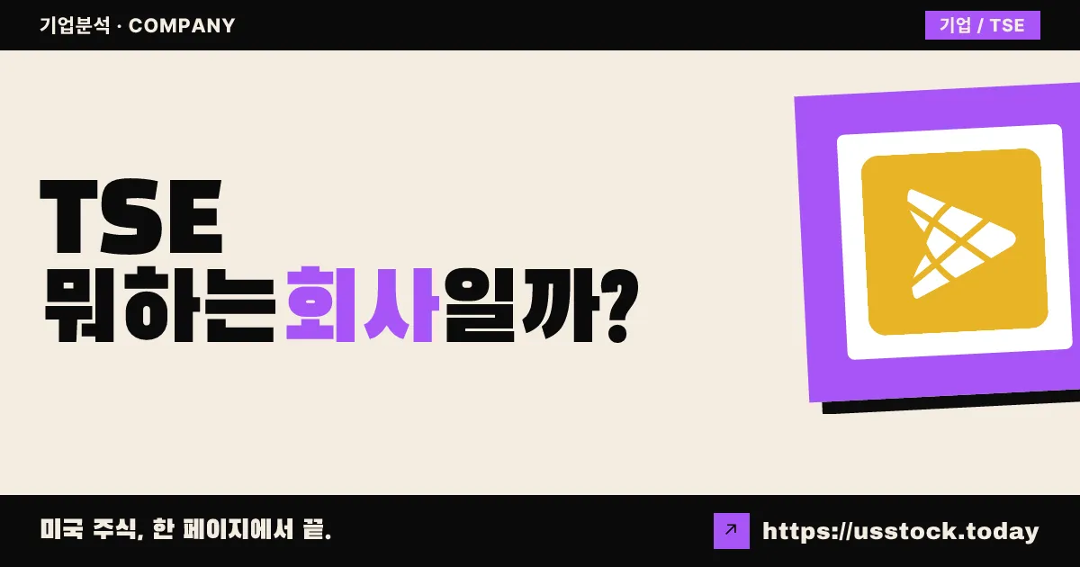 트린세오(TSE) 뭐하는 회사일까? - 주가 전망·실적·시총·관련주·본사 총정리