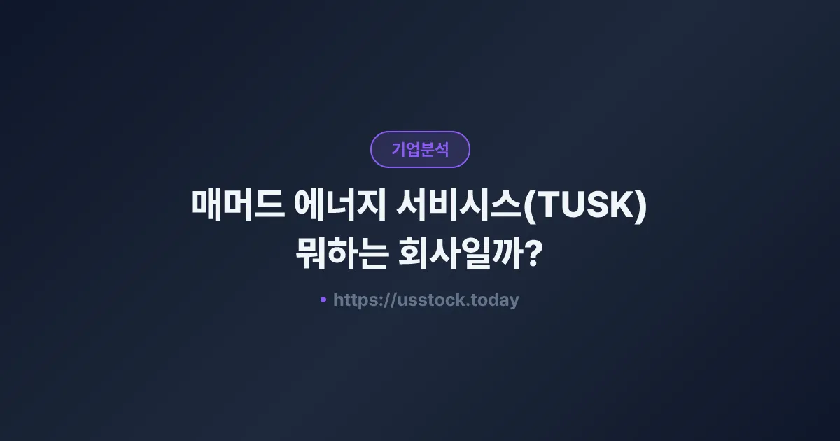 매머드 에너지 서비시스(TUSK) 뭐하는 회사일까? - 주가 전망·실적·시총·관련주·본사 총정리
