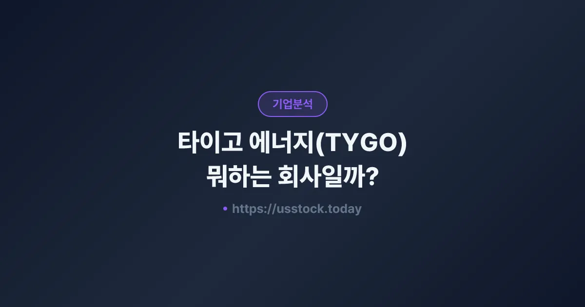타이고 에너지(TYGO) 뭐하는 회사일까? - 주가 전망·실적·시총·관련주·본사 총정리