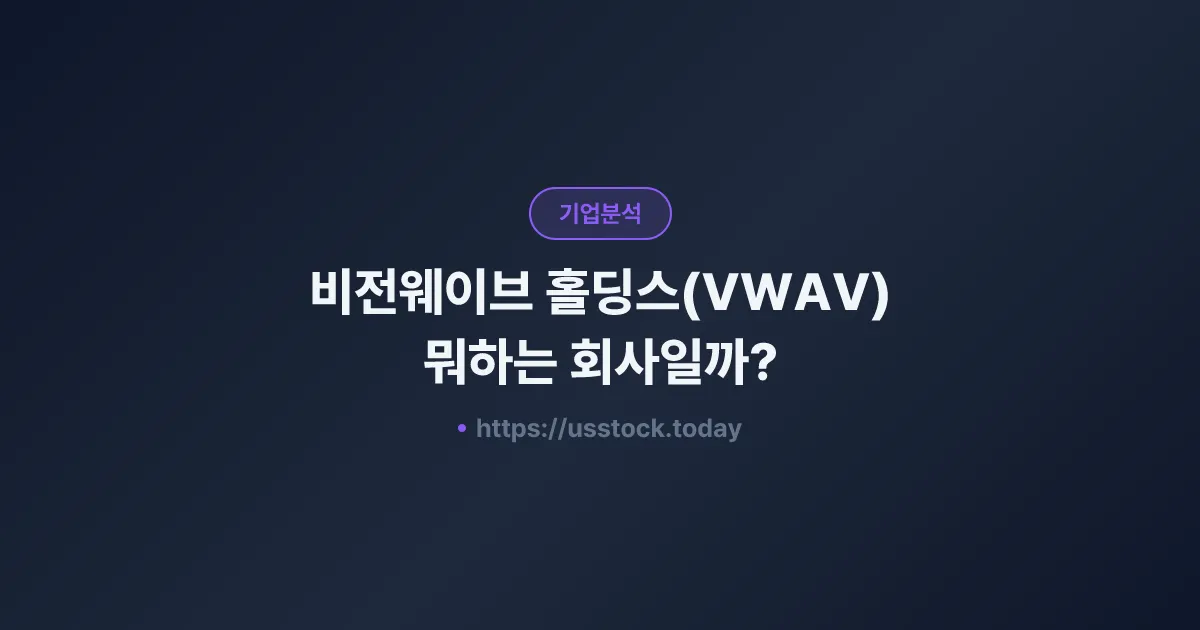 비전웨이브 홀딩스(VWAV) 뭐하는 회사일까? - 주가 전망·실적·시총·관련주·본사 총정리