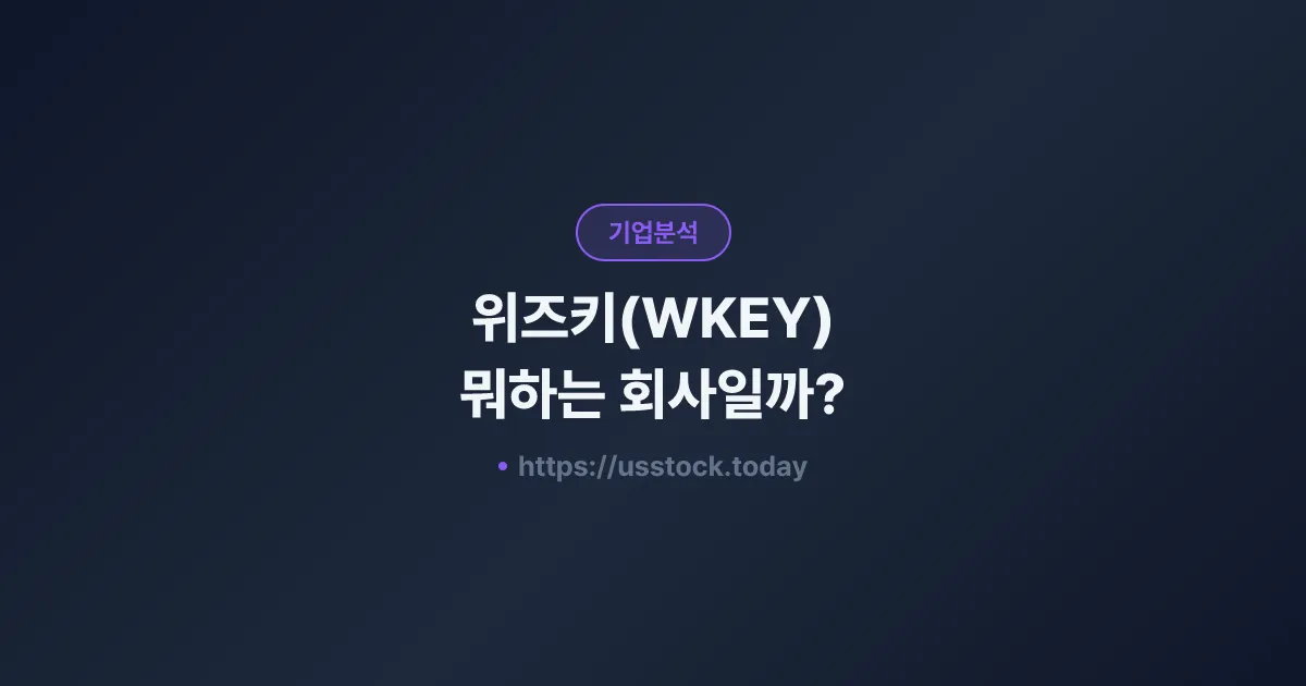 위즈키(WKEY) 뭐하는 회사일까? - 주가 전망·실적·시총·관련주·본사 총정리