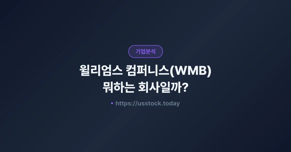윌리엄스 컴퍼니스(WMB) 뭐하는 회사일까? - 주가 전망·실적·시총·관련주·본사 총정리